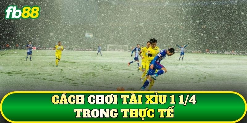 Cách chơi Tài Xỉu 1 1/4 trong thực tế