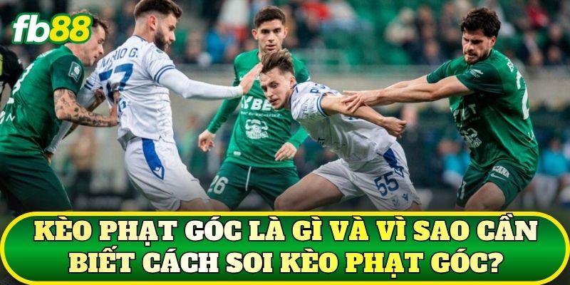Kèo phạt góc là gì và vì sao cần biết cách soi kèo phạt góc?